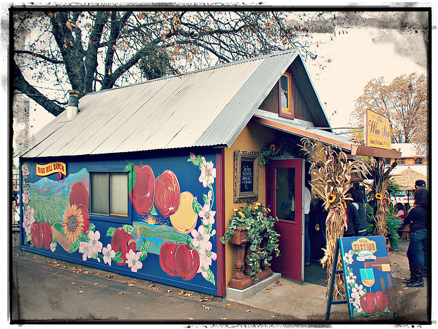 A Wine shop / Wine Tasting