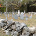 Clôture de roches funéraires/ Cemetery rocky fence