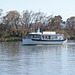 Lady Launceston On The River Tamar