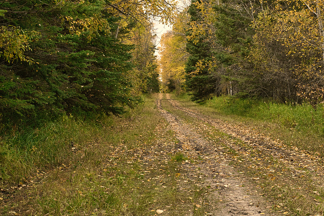 another backcountry lane