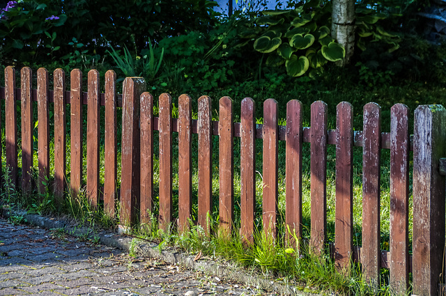 A Fence for Friday