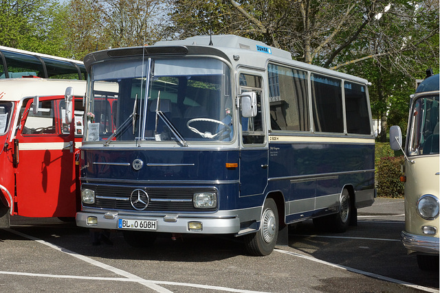 Omnibustreffen Sinsheim Speyer 2023 305