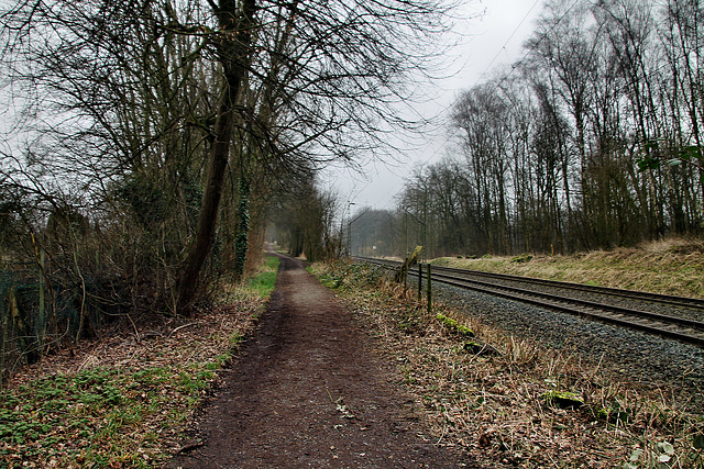 Wanderweg neben der Bahnstrecke (Wattenscheid-Höntrop) / 17.02.2024