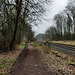 Wanderweg neben der Bahnstrecke (Wattenscheid-Höntrop) / 17.02.2024