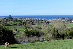 Asturias - Sea