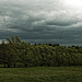 20250524-20250525_Benneckenstein+Wanderung Tanne bis Elbingerode