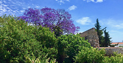 View from near the Palácio da Galeria, Tavira (2015)