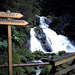 Triberger Wasserfälle (Dia-Scan)