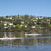 Rowers On The River Tamar