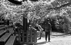 Visitors at a temple