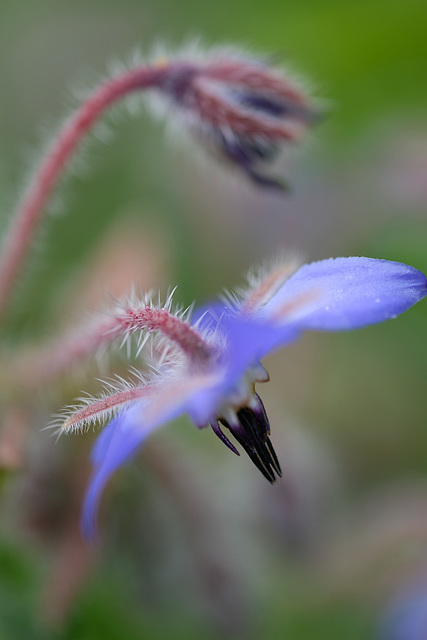 DSCF6584