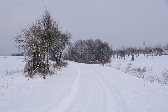 Spaziergang nach dem Schneesturm