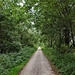 Radweg auf der ehem. König-Ludwig-Zechenbahn (Castrop-Rauxel-Pöppinghausen) / 25.09.2021