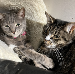 Best Friends (1)