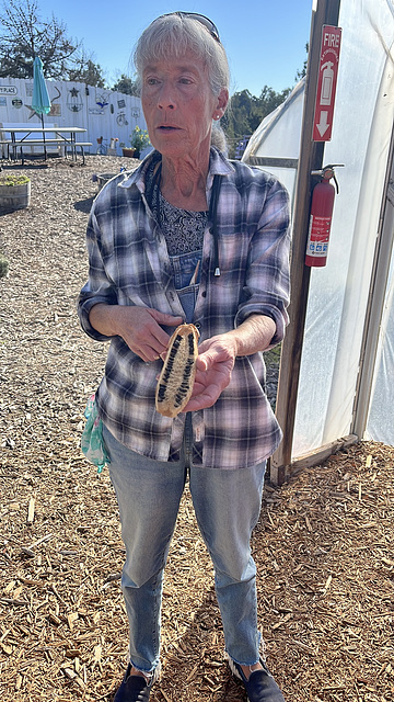 Luffa guide with luffa gourd