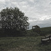 20250524-20250525_Benneckenstein+Wanderung Tanne bis Elbingerode