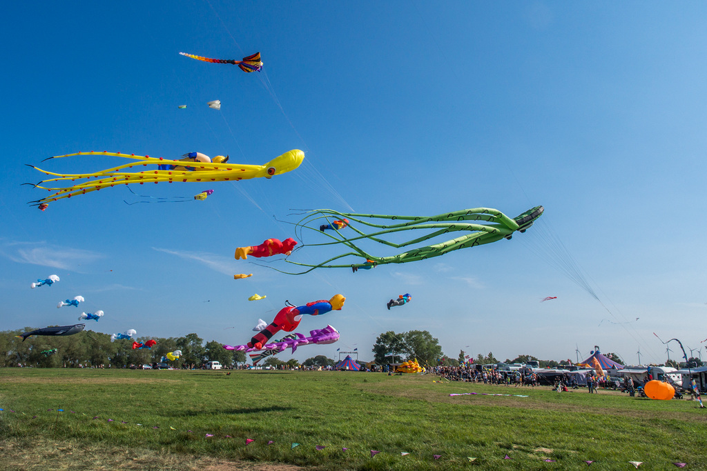 Drachenfest in Lemwerder