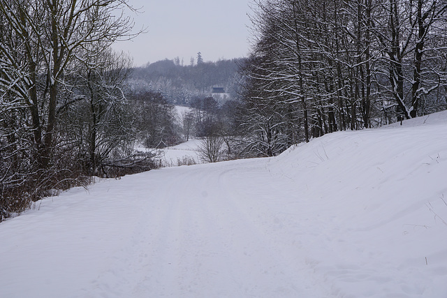 Spaziergang nach dem Schneesturm