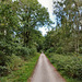 Radweg auf der ehemaligen König-Ludwig-Trasse (Castrop-Rauxel-Pöppinghausen) / 25.09.2021