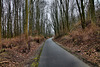 Radweg auf der ehemaligen Werksbahn Bochumer Verein (Wattenscheid-Höntrop) / 17.02.2024