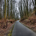 Radweg auf der ehemaligen Werksbahn Bochumer Verein (Wattenscheid-Höntrop) / 17.02.2024