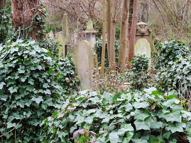 abney park cemetery, london