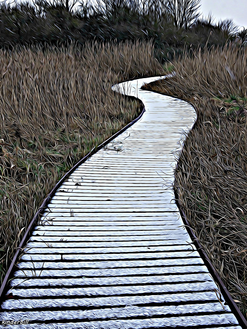 Frozen board Walk   /   Feb 2018