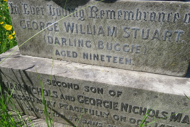 teddington cemetery, london