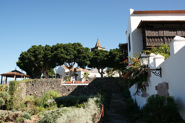 Parque Del Drago