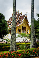 Haw Pha Bang Shrine #2