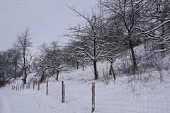 Spaziergang nach dem Schneesturm