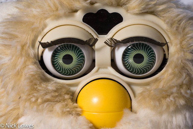 Furby rides again