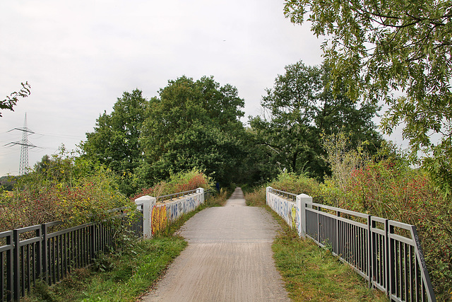 König-Ludwig-Trasse, Brücke über der Pöppinghauser Straße (Castrop-Rauxel-Pöppinghausen) / 25.09.2021