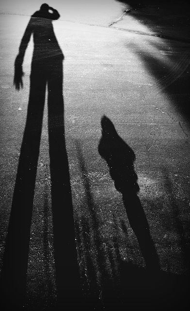 Shadow Selfie