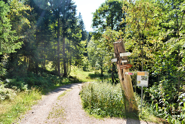 Schwarzwald