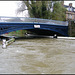 Thames in spate at Osney Bridge