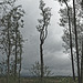 20250524-20250525_Benneckenstein+Wanderung Tanne bis Elbingerode