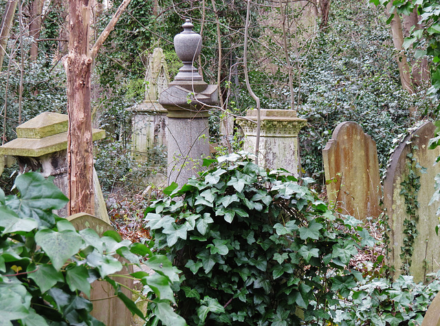 abney park cemetery, london