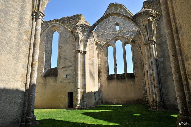 Ruines de l'église Saint-Lubin de Yèvre-le-Châtel - Loiret