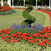 London, Flowerbeds at Buckingham Palace Forecourt Gardens