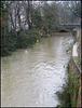 full stream at Osney