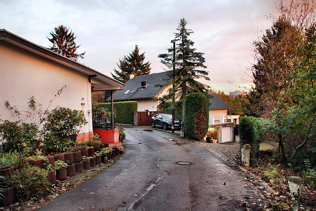 Weg am Kötterberg (Bochum-Grumme) / 11.11.2023