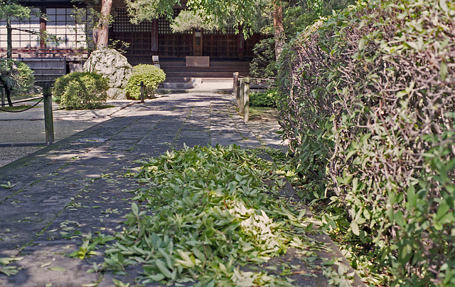 Dressing plants in the temple