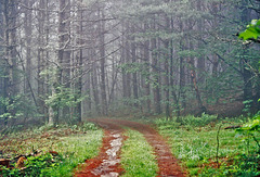 Mountain Road