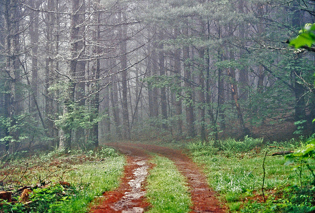 Mountain Road