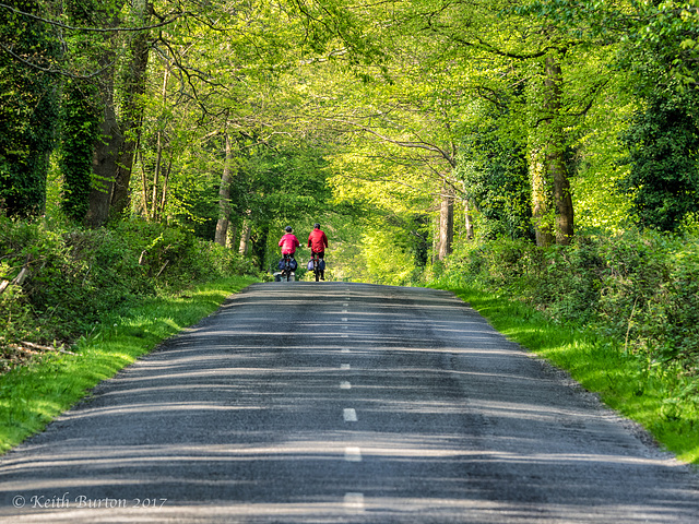 Cyclists in Red