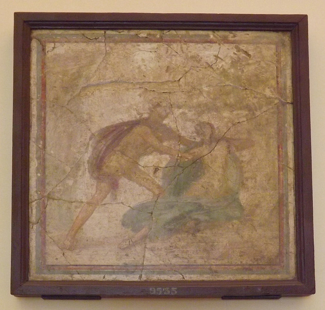 Wall Painting of Apollo and Daphne from the Villa Arianna in Stabiae in the Naples Archaeological Museum, June 2013