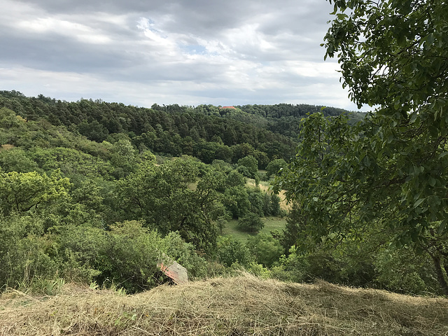 Blick in Richtung Hohenentringen