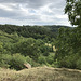 Blick in Richtung Hohenentringen