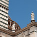 Statues on the Duomo, Siena